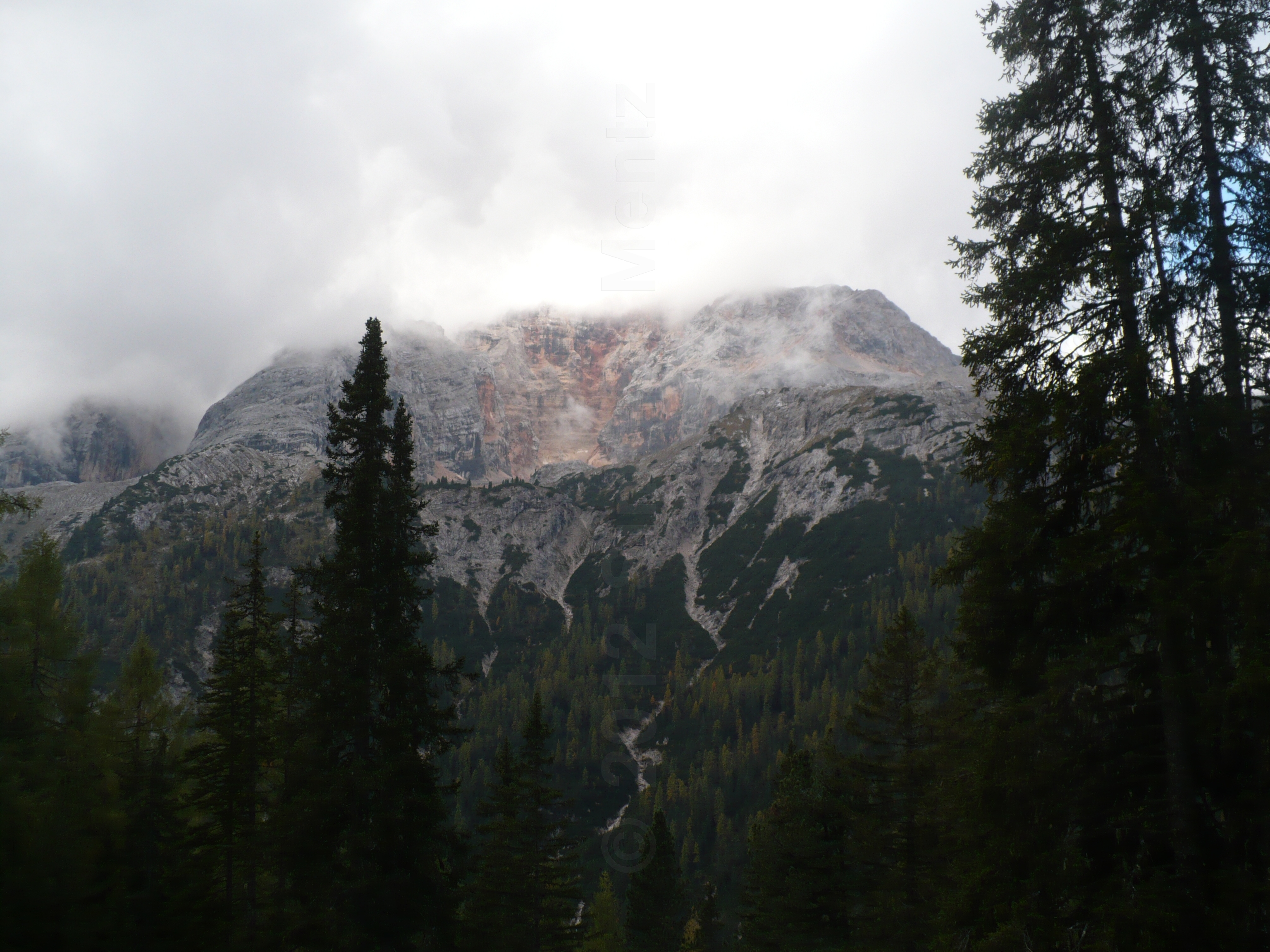 Images/3 Suedtirol_ Ploetzwiese (148).jpg